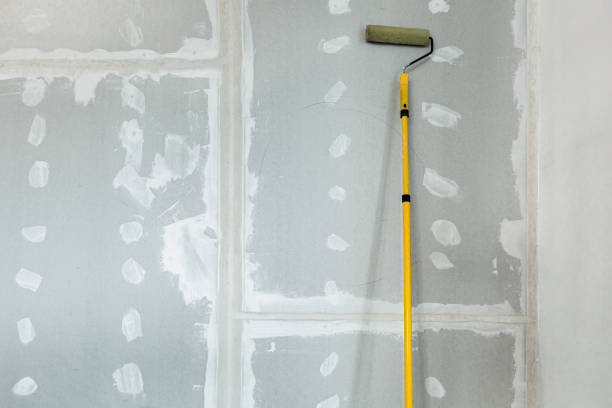 Best Post-Construction Mold Inspection  in Brocton, NY