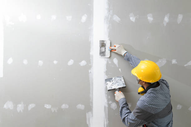 Best Comprehensive Air Testing for Mold Contaminants  in Brocton, NY