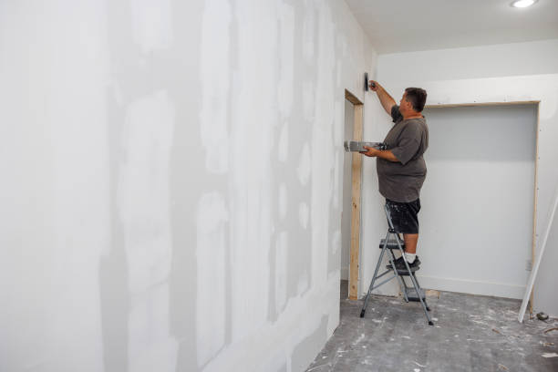 Best HVAC Mold Inspection and Cleaning  in Brocton, NY