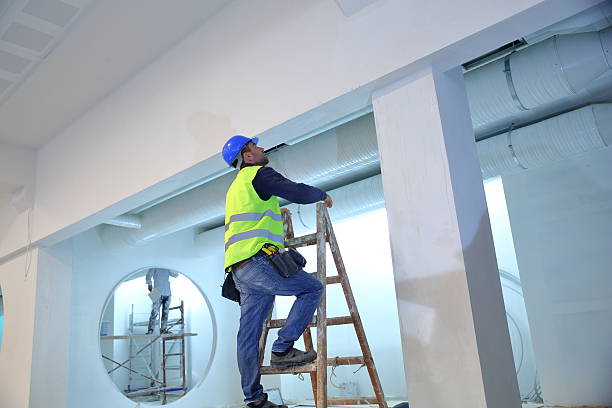 Best Water Damage & Mold Remediation  in Brocton, NY