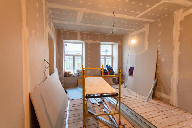 Best Mold Remediation for Vacation Homes  in Brocton, NY